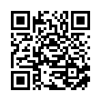 安慶偉美科技有限公司移動站二維碼