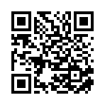 沈陽盛甲裝飾裝修工程有限公司移動站二維碼