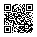 上海三丁一甲科技有限公司移動站二維碼