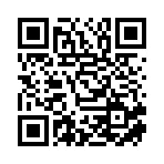 大慶市炫林科技有限公司移動站二維碼