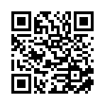 山東瀾起智能科技有限公司移動站二維碼